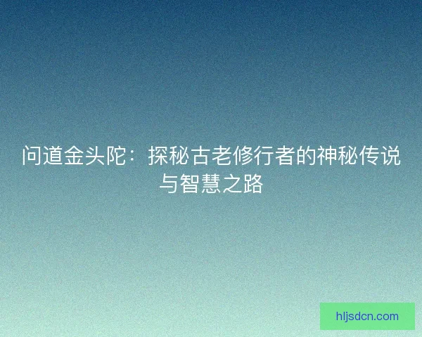 问道金头陀：探秘古老修行者的神秘传说与智慧之路