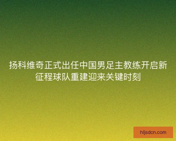 扬科维奇正式出任中国男足主教练开启新征程球队重建迎来关键时刻